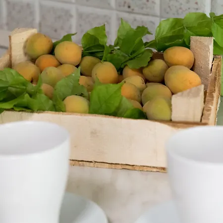 게스트하우스 Relais Regina Rosanna 갈리폴리